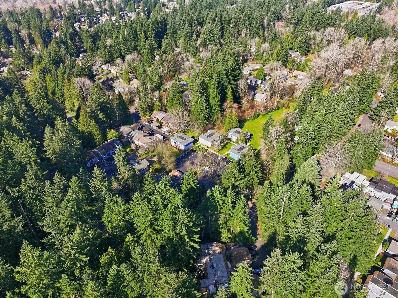 12206 NE 147th Place #B, Kirkland, WA 98034