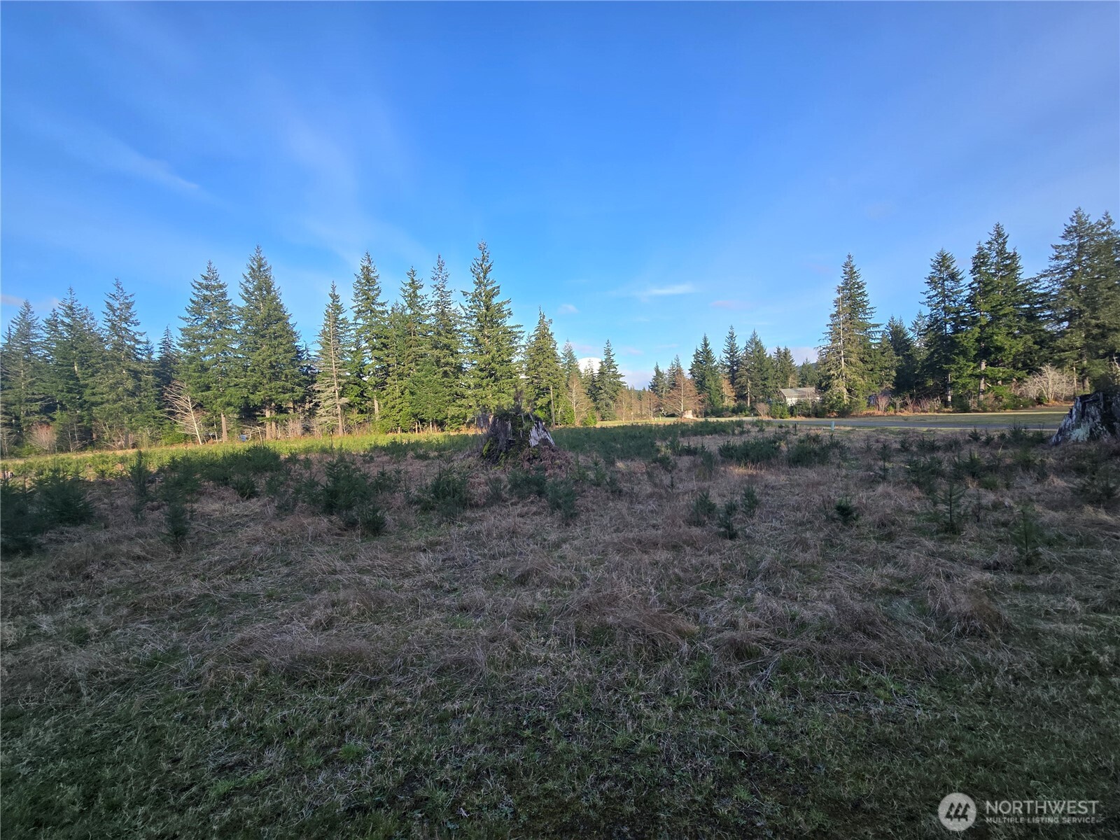 9999 Sawyer Way , Forks, WA 98331