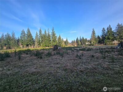 9999 Sawyer Way , Forks, WA 98331 - Photo 6