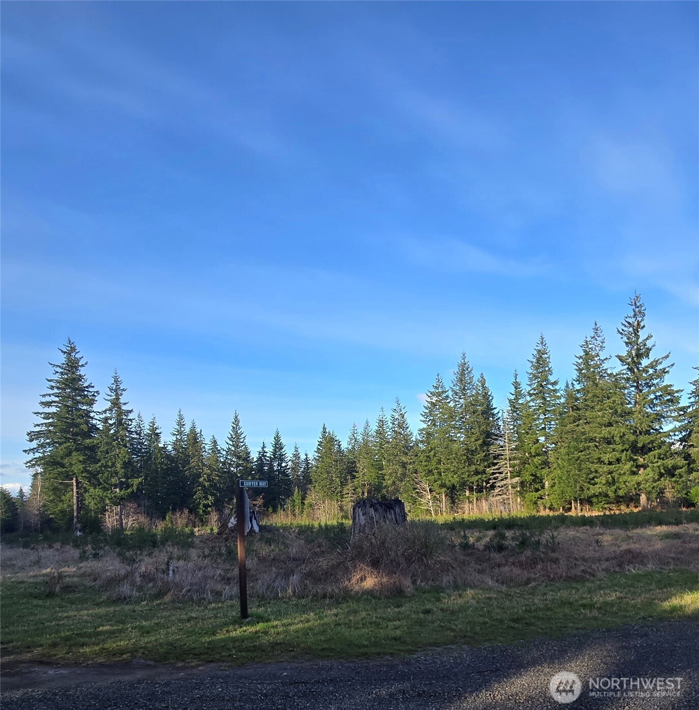 9999 Sawyer Way , Forks, WA 98331