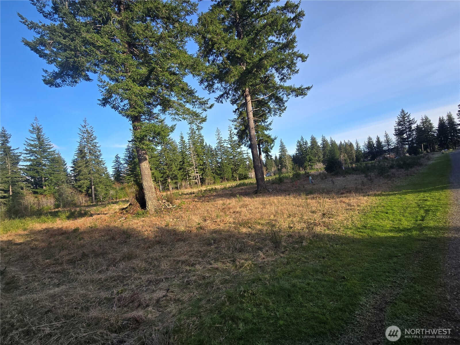 9999 Sawyer Way , Forks, WA 98331