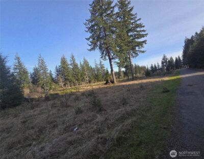 9999 Sawyer Way , Forks, WA 98331 - Photo 9