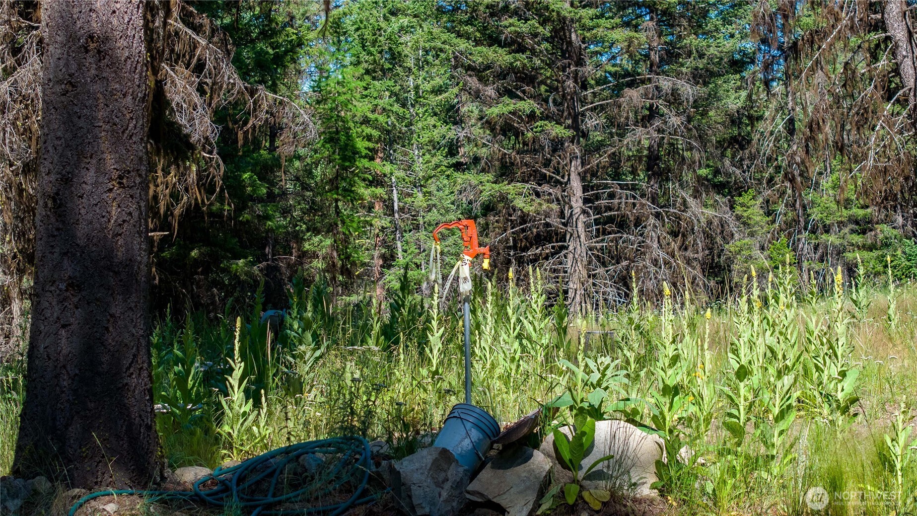 45 Spring Meadow Lane , Oroville, WA 98844