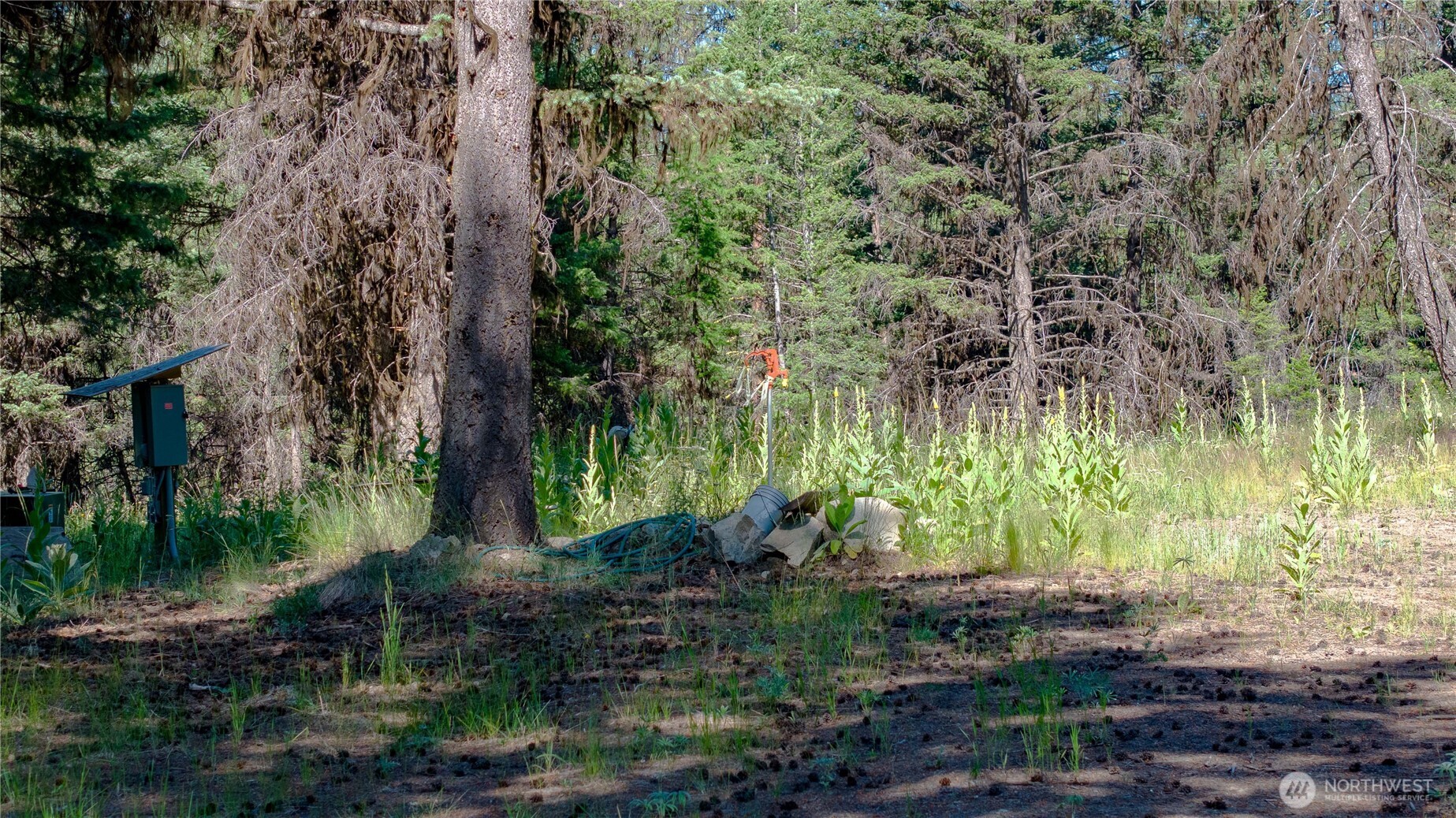 45 Spring Meadow Lane , Oroville, WA 98844