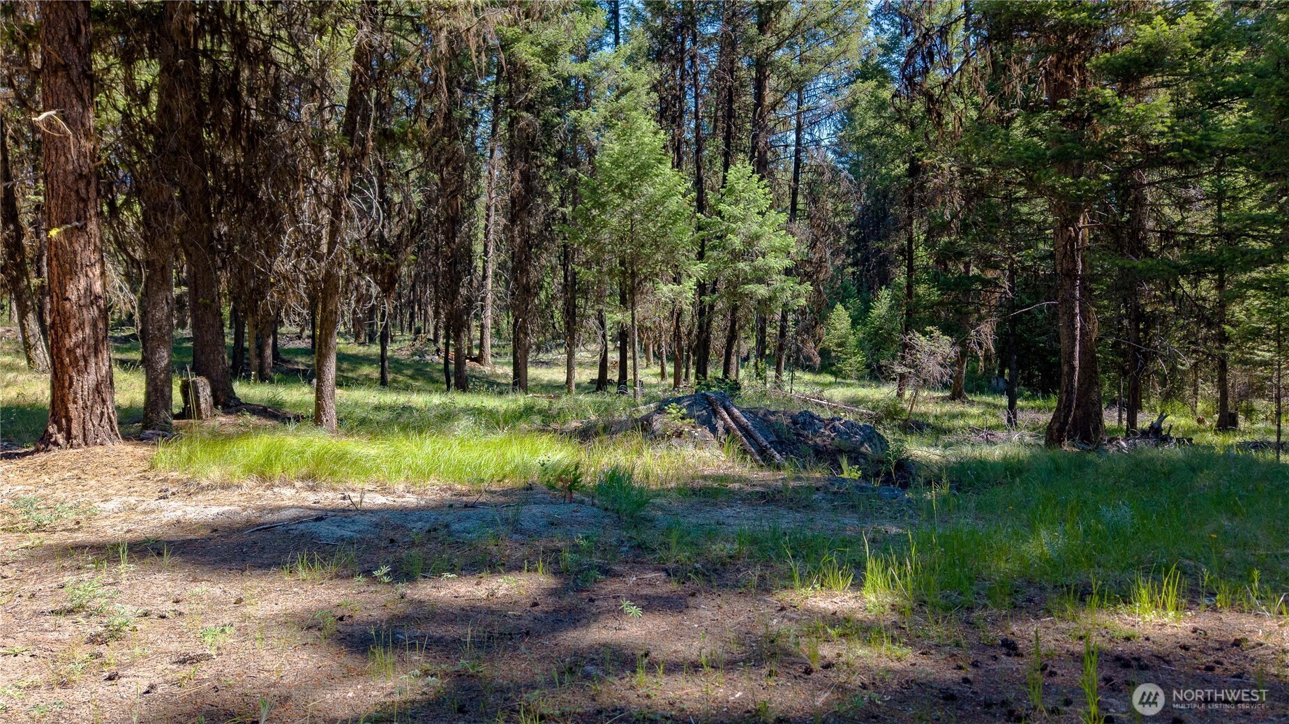 45 Spring Meadow Lane , Oroville, WA 98844