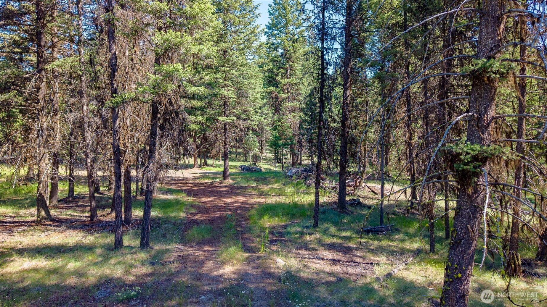 45 Spring Meadow Lane , Oroville, WA 98844