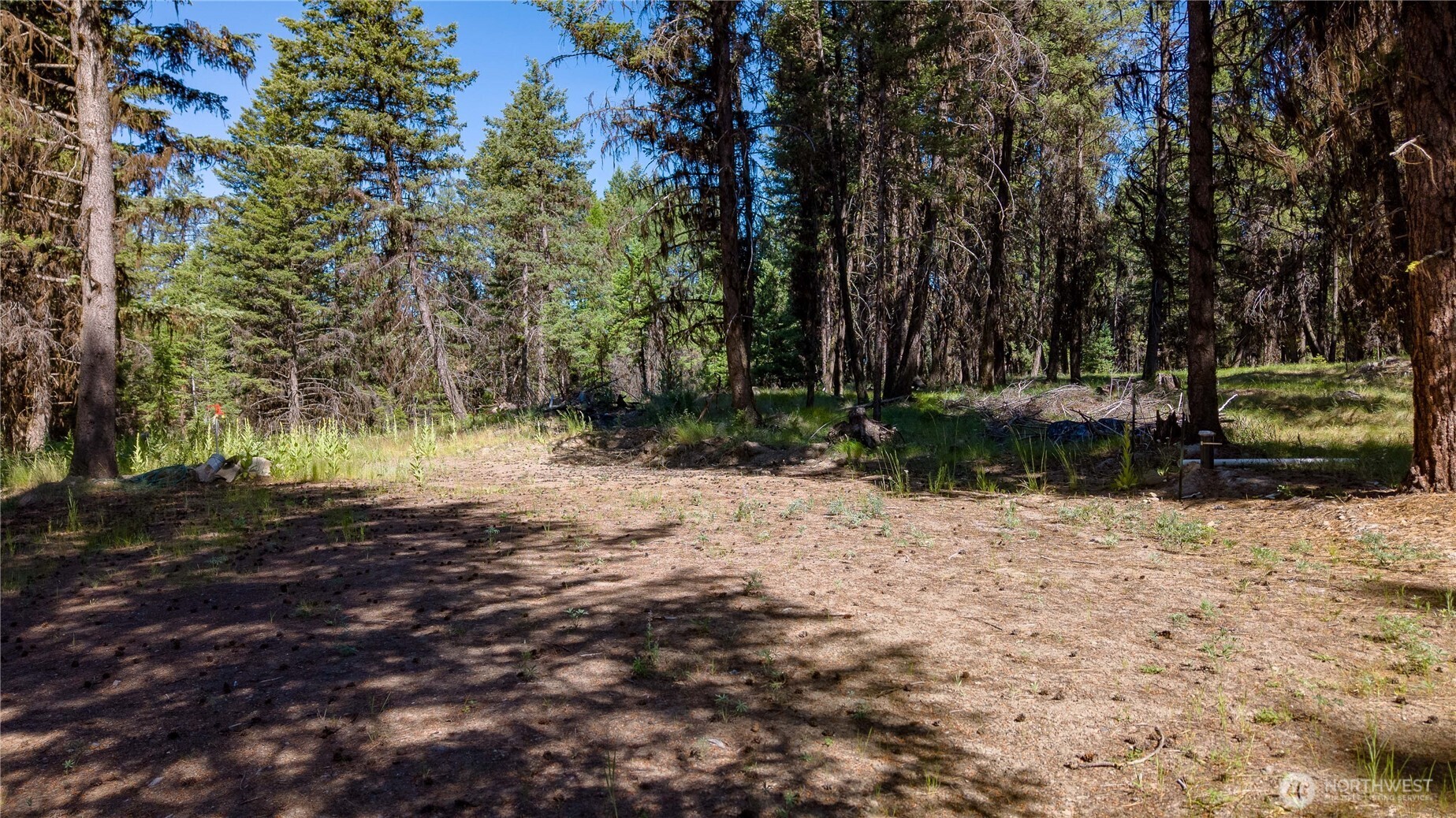 45 Spring Meadow Lane , Oroville, WA 98844