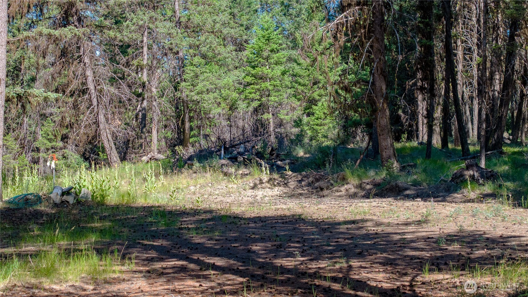 45 Spring Meadow Lane , Oroville, WA 98844