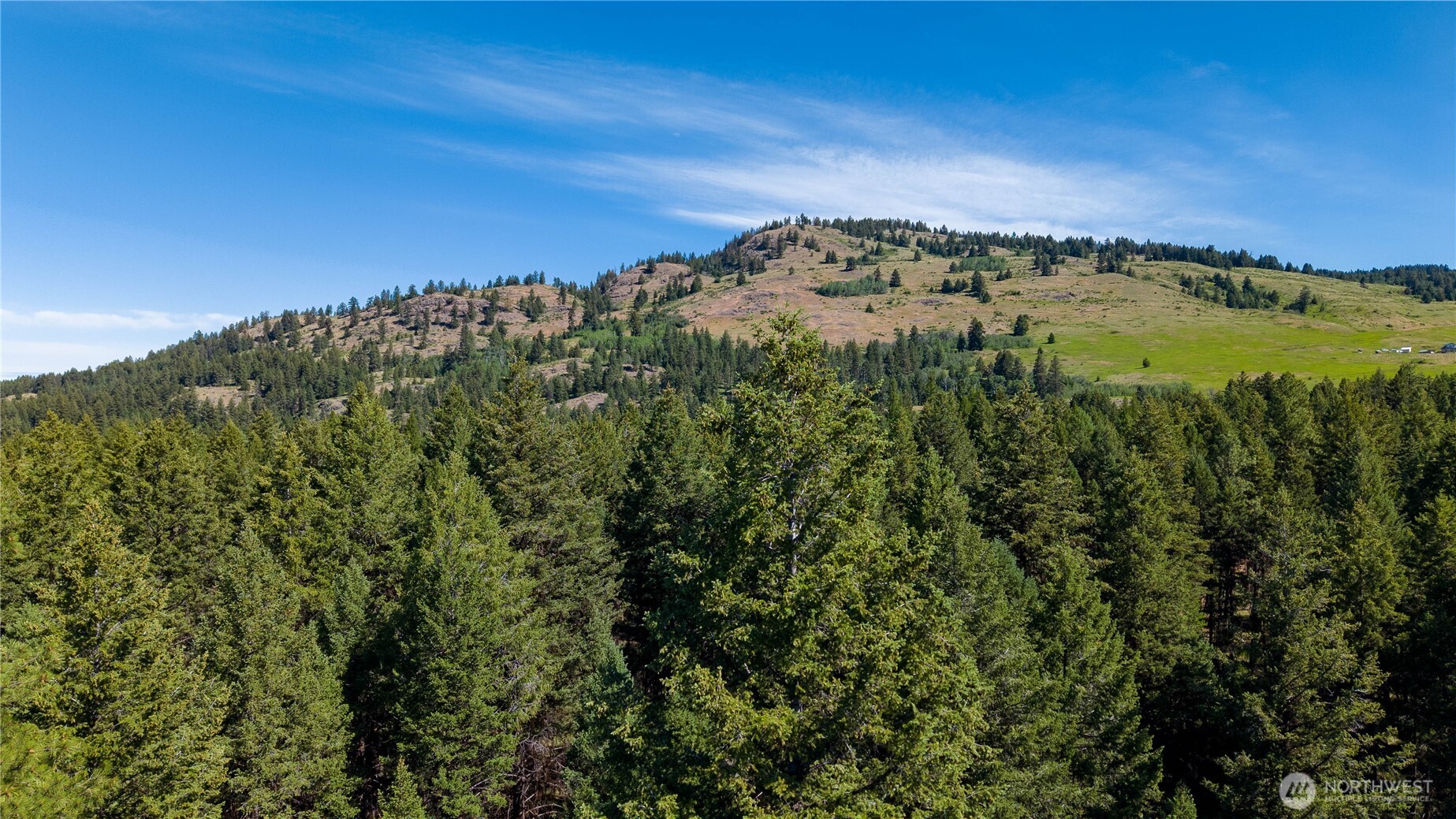 45 Spring Meadow Lane , Oroville, WA 98844