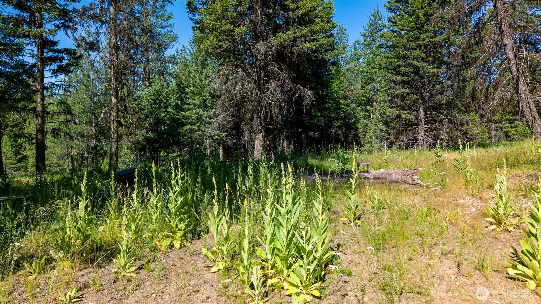 45 Spring Meadow Lane , Oroville, WA 98844