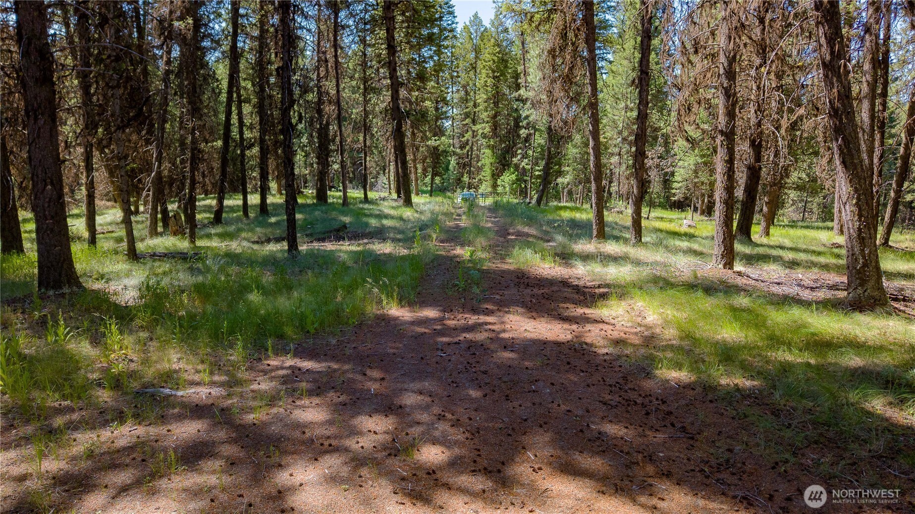 45 Spring Meadow Lane , Oroville, WA 98844