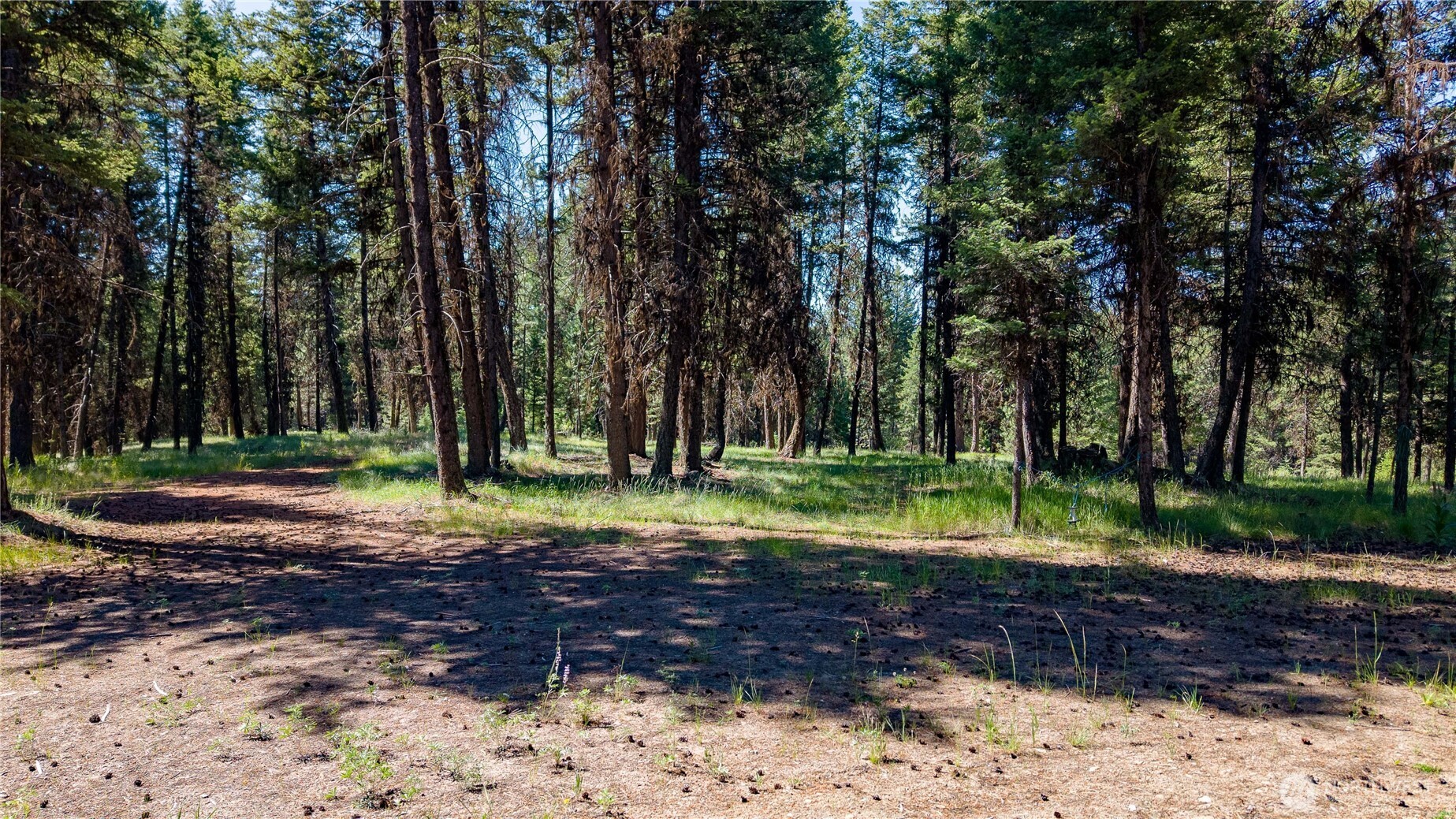 45 Spring Meadow Lane , Oroville, WA 98844