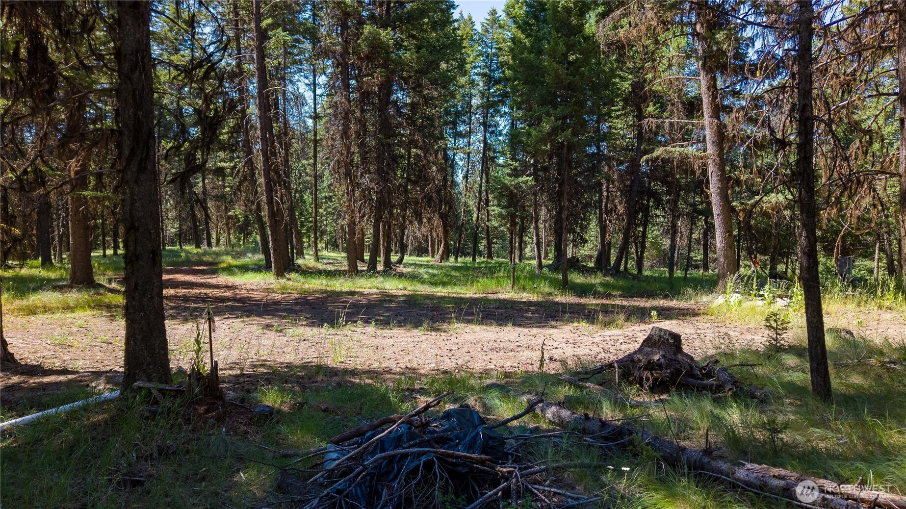 45 Spring Meadow Lane , Oroville, WA 98844