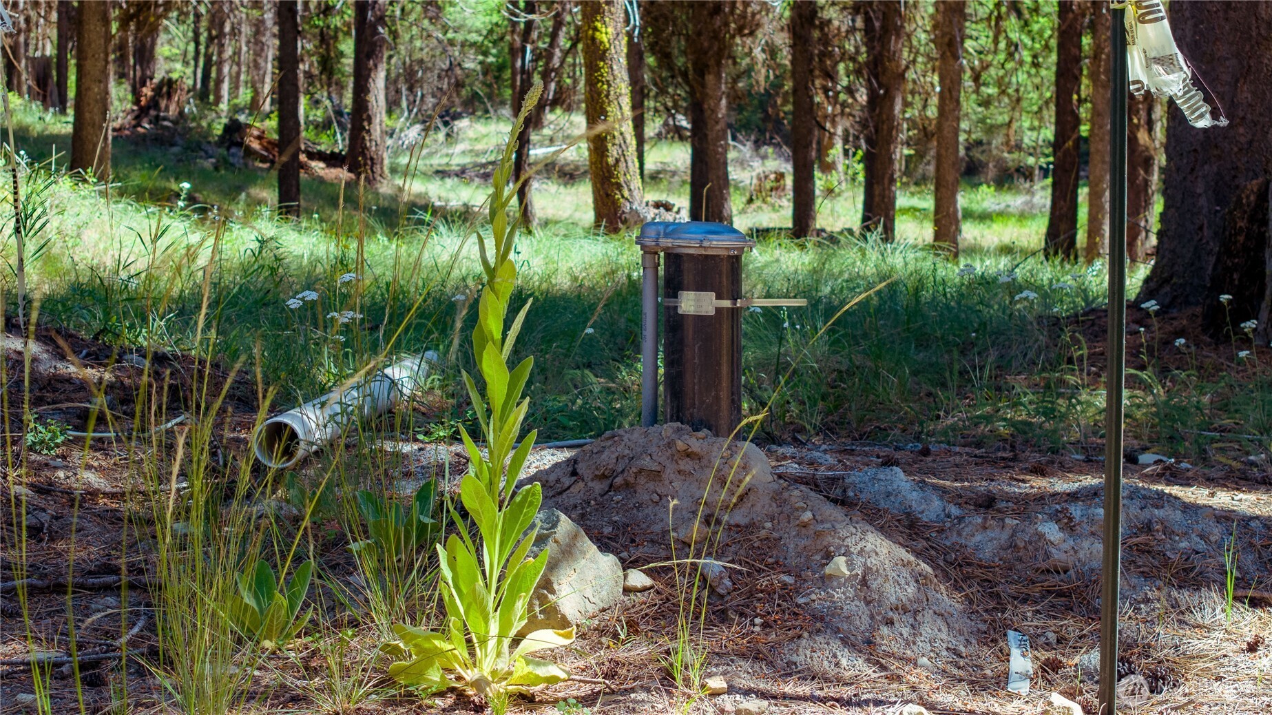 45 Spring Meadow Lane , Oroville, WA 98844