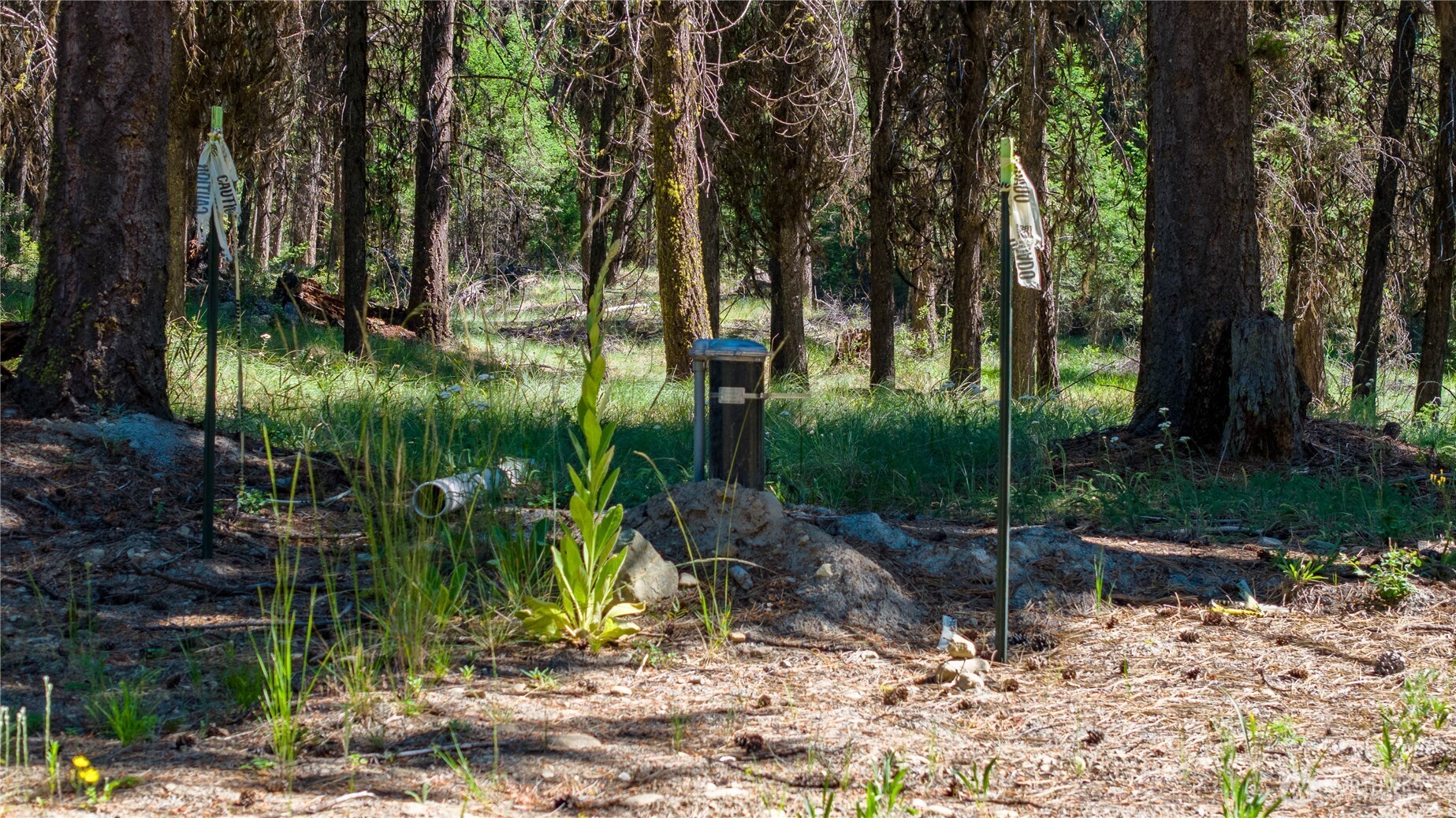 45 Spring Meadow Lane , Oroville, WA 98844