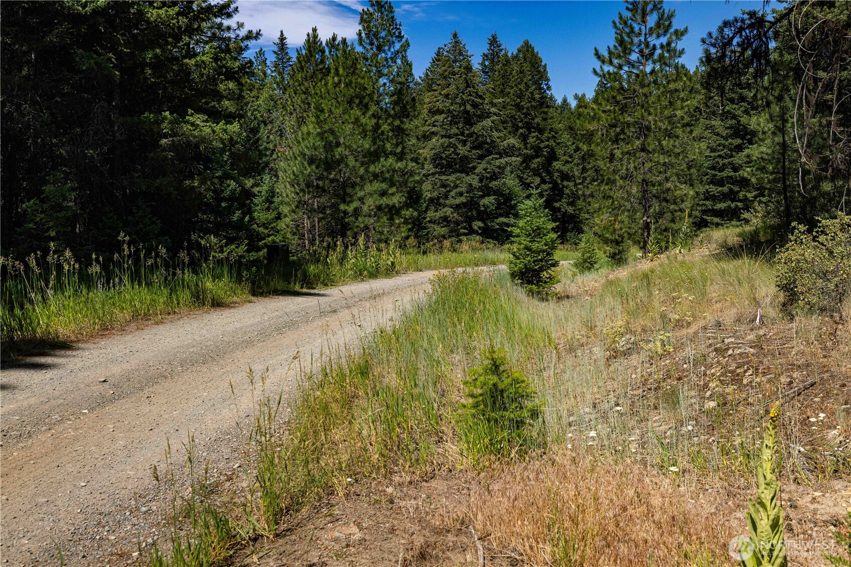 45 Spring Meadow Lane , Oroville, WA 98844