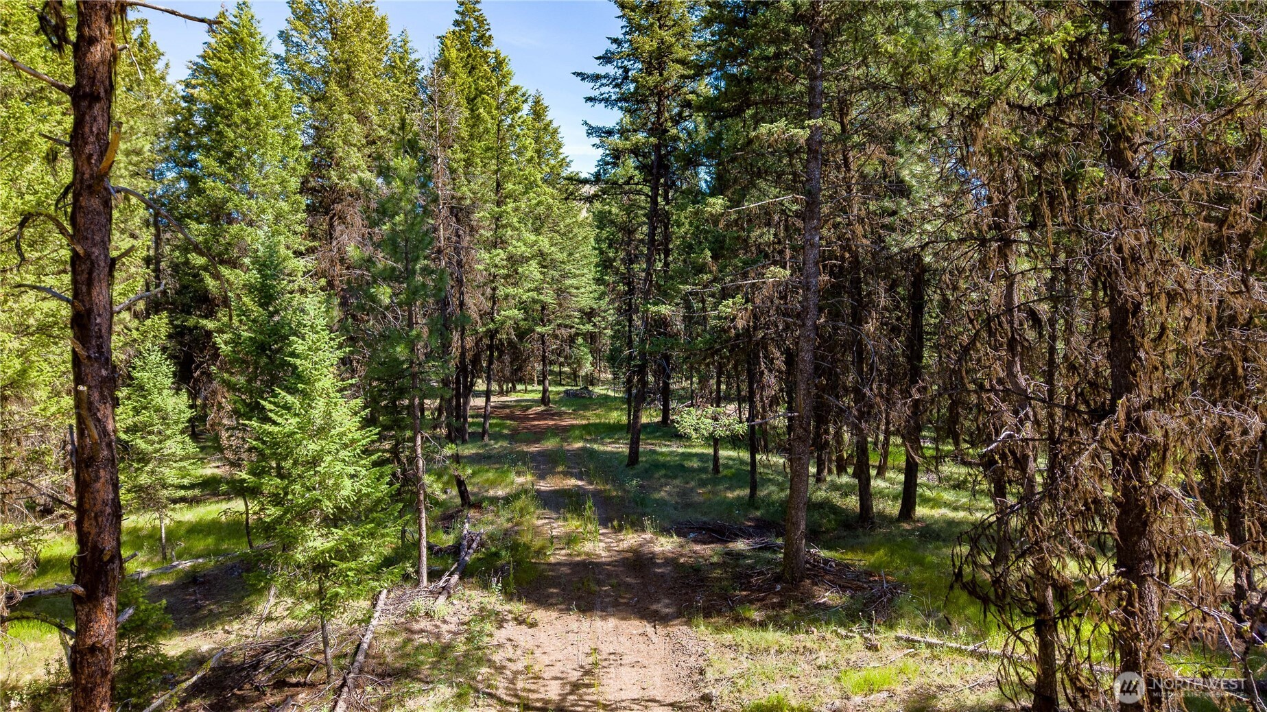 45 Spring Meadow Lane , Oroville, WA 98844