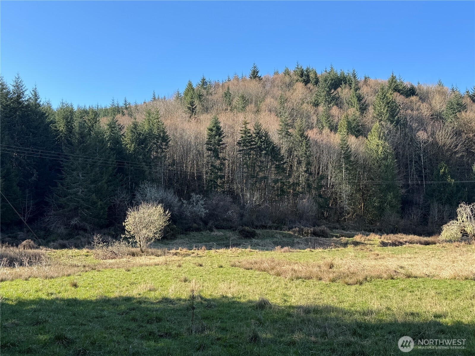 0 xxx Harkum Road , Chehalis, WA 98532