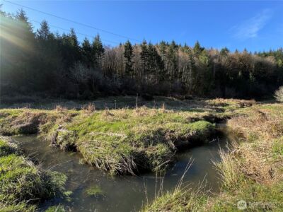 0 xxx Harkum Road , Chehalis, WA 98532 - Photo 8