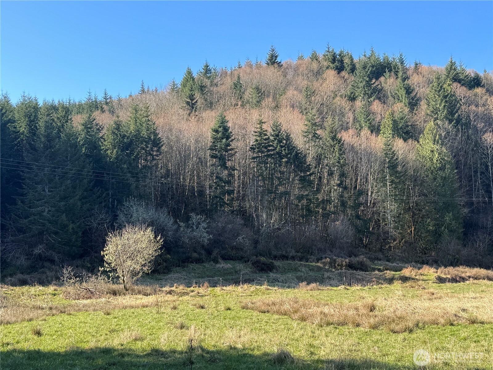 0 xxx Harkum Road , Chehalis, WA 98532