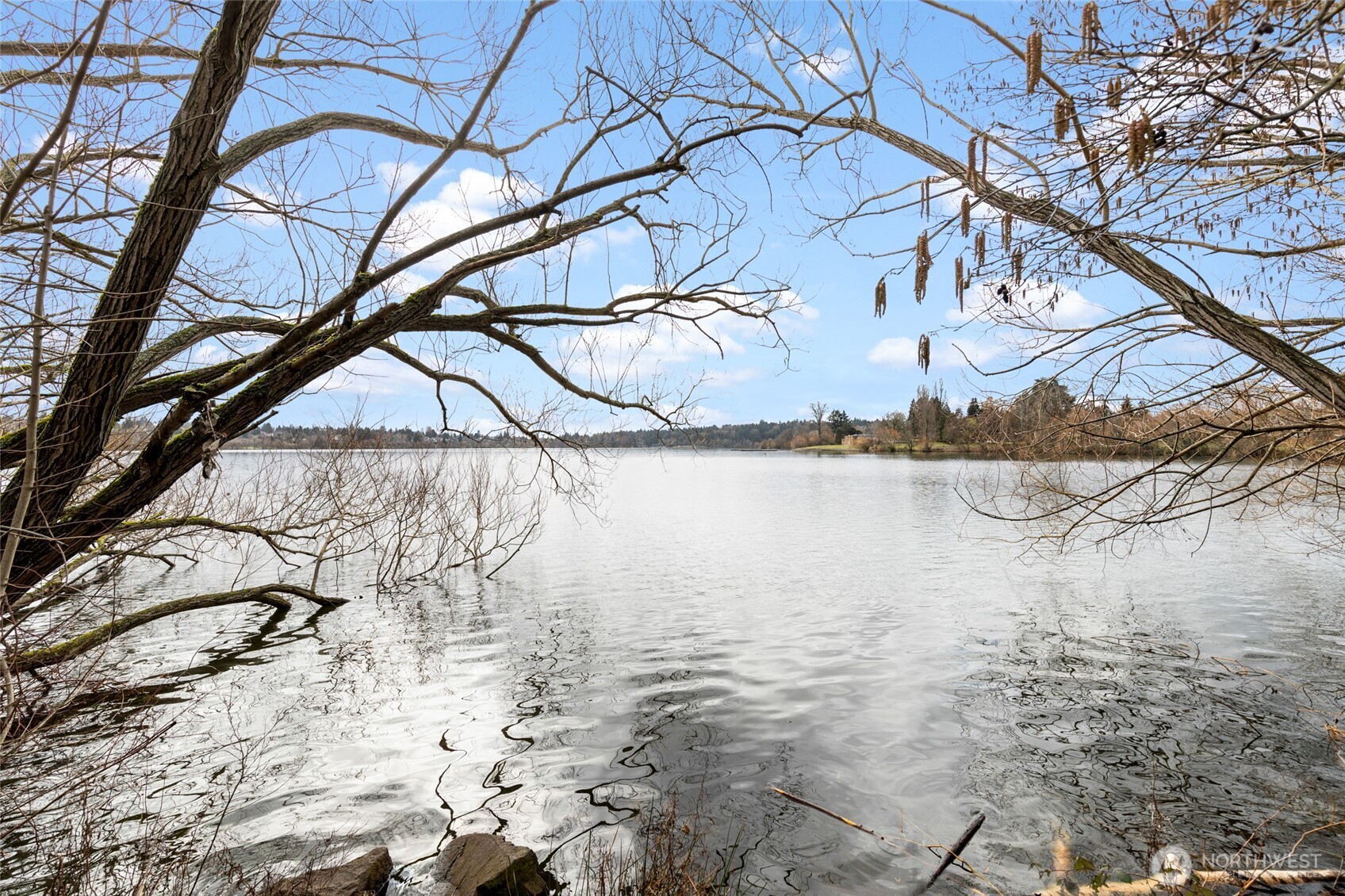 7850 Green Lake Drive N #101, Seattle, WA 98103