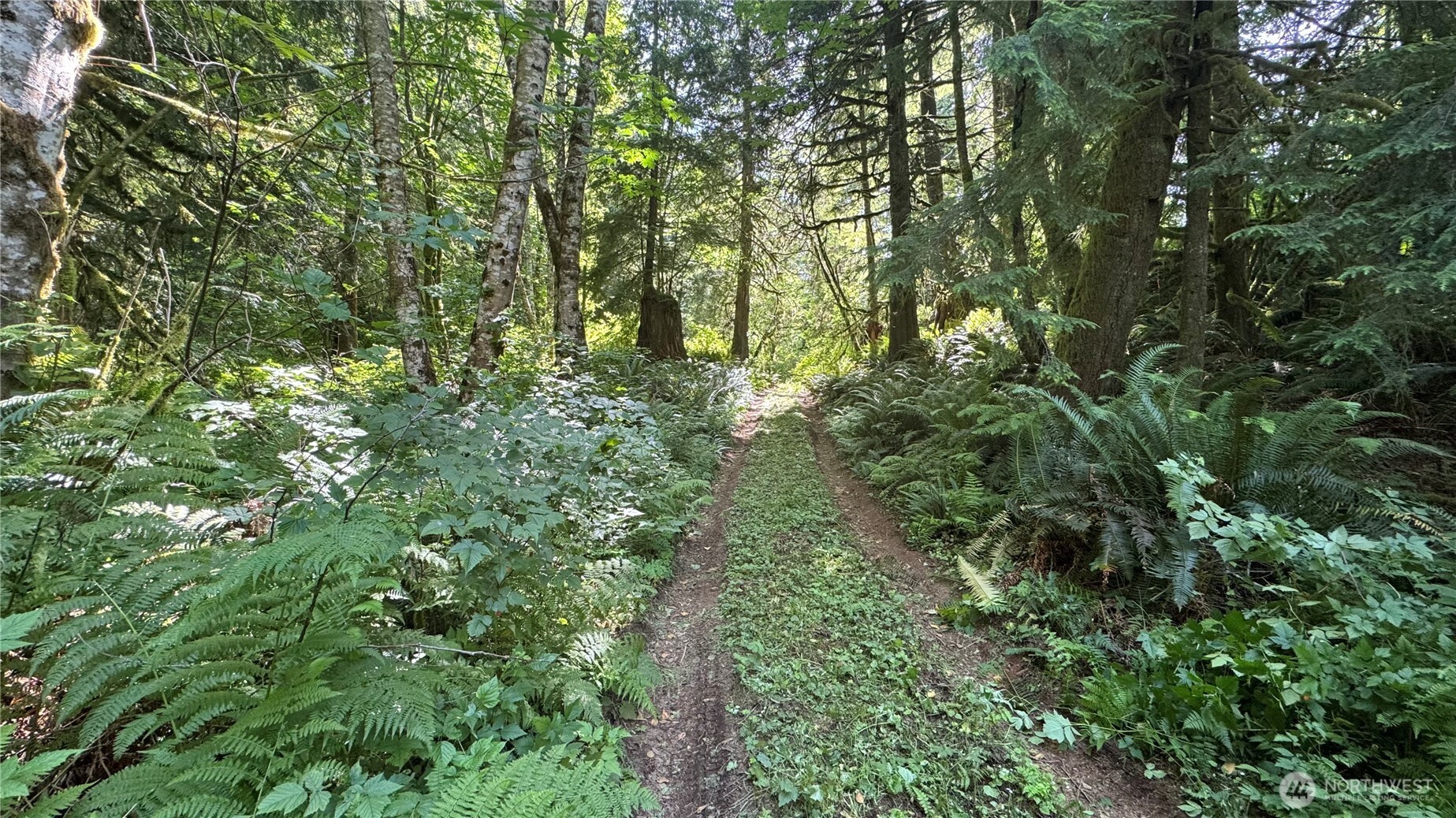 44701 SE Edgewick Road , North Bend, WA 98045
