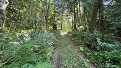 44701 SE Edgewick Road , North Bend, WA 98045 - Photo 6