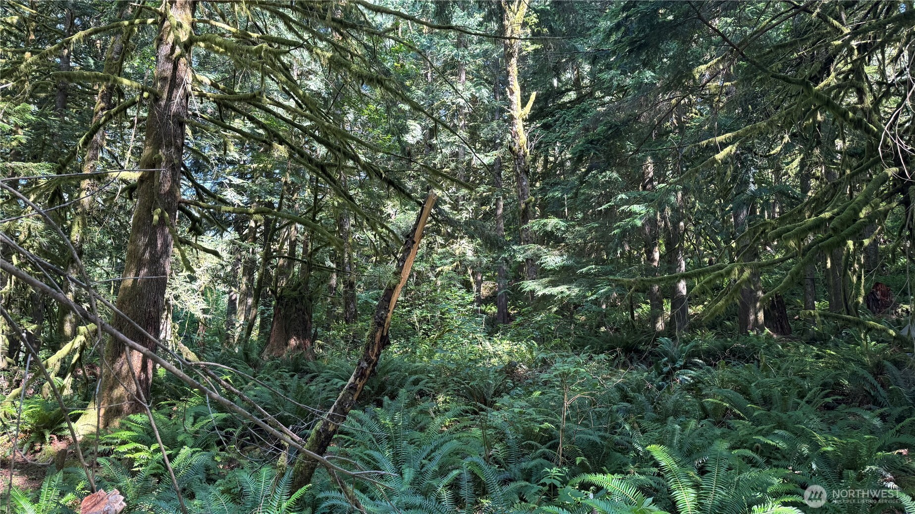 44701 SE Edgewick Road , North Bend, WA 98045