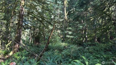 44701 SE Edgewick Road , North Bend, WA 98045 - Photo 7