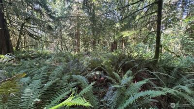44701 SE Edgewick Road , North Bend, WA 98045 - Photo 8