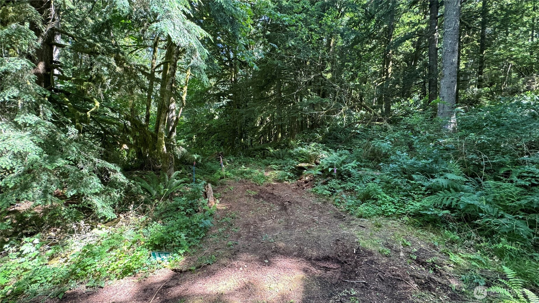 44701 SE Edgewick Road , North Bend, WA 98045