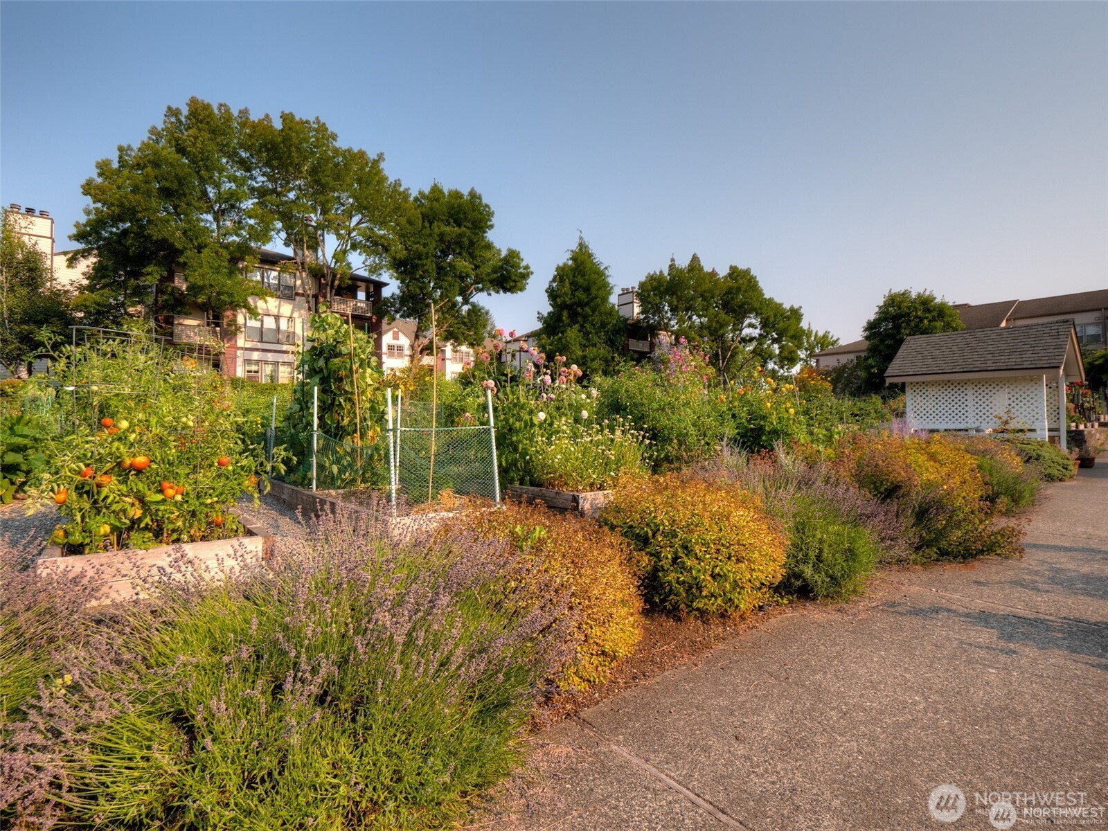 22472 SE Highland Circle #2367, Issaquah, WA 98029