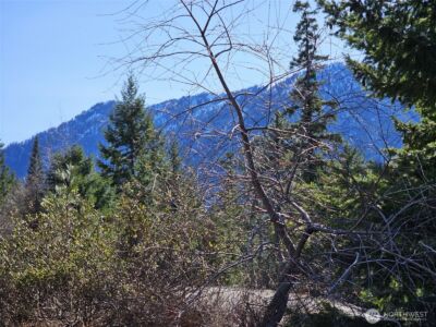 12 Anna Bell Drive , Ronald, WA 98940 - Photo 16