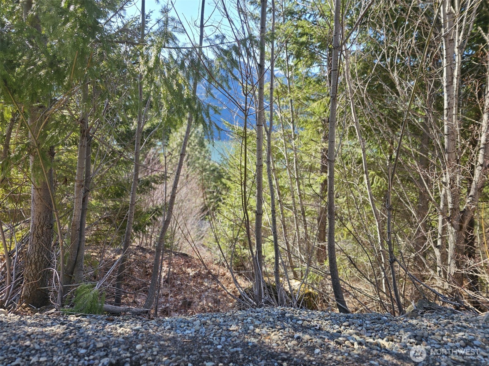 12 Anna Bell Drive , Ronald, WA 98940