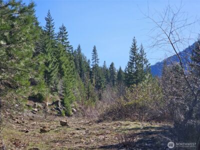 12 Anna Bell Drive , Ronald, WA 98940 - Photo 8