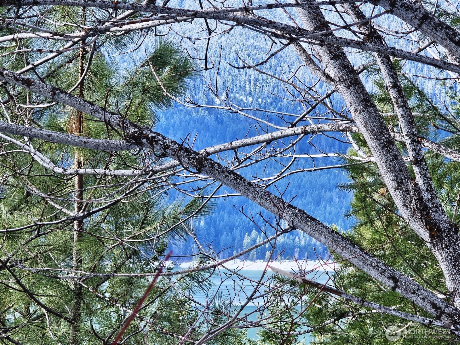 12 Anna Bell Drive , Ronald, WA 98940