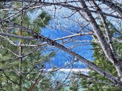 12 Anna Bell Drive , Ronald, WA 98940 - Photo 10