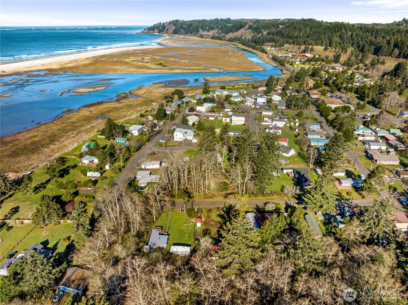 4270 Dexter Drive , Tokeland, WA 98590