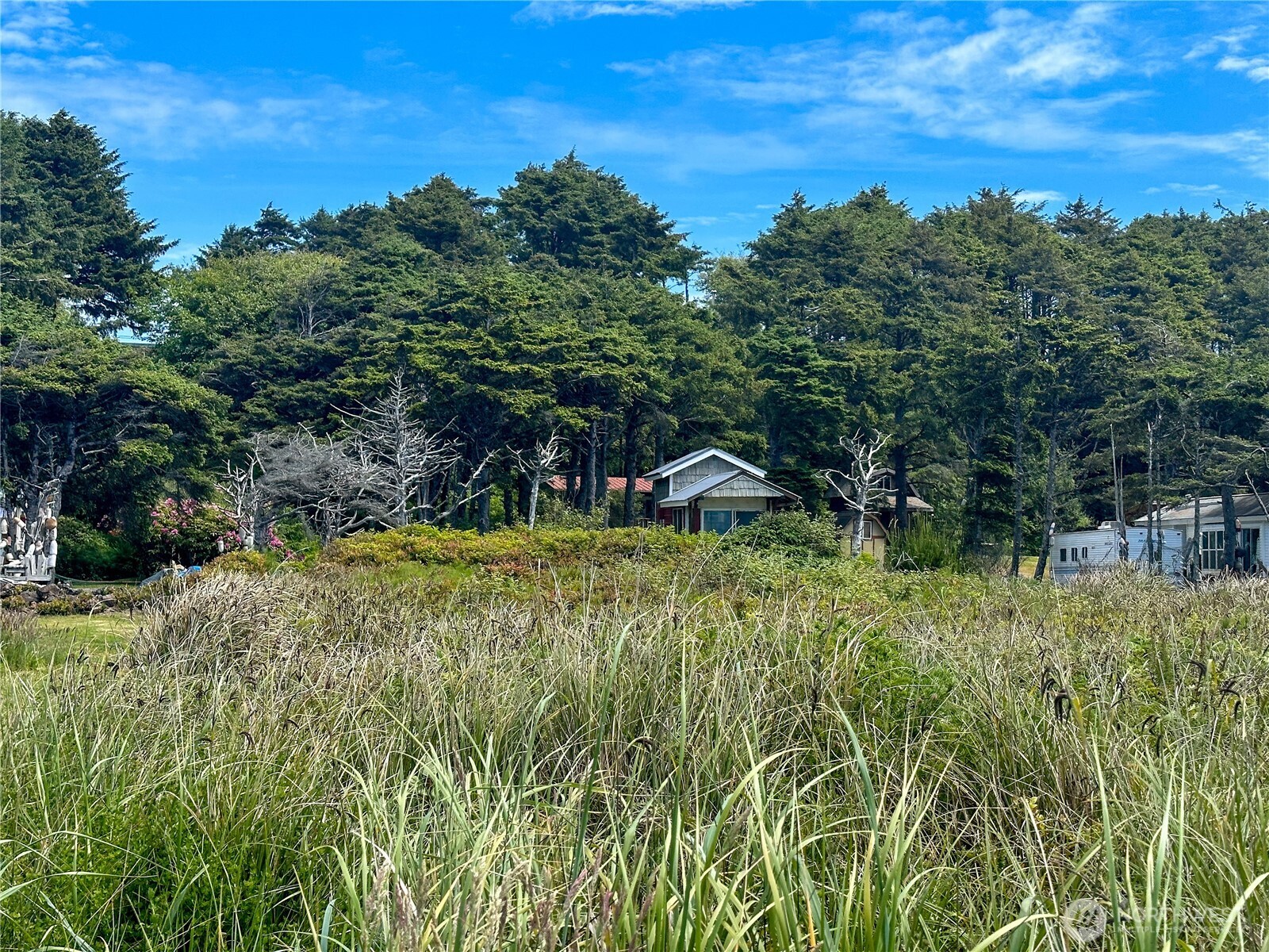 4753 Beach Lane , Moclips, WA 98562