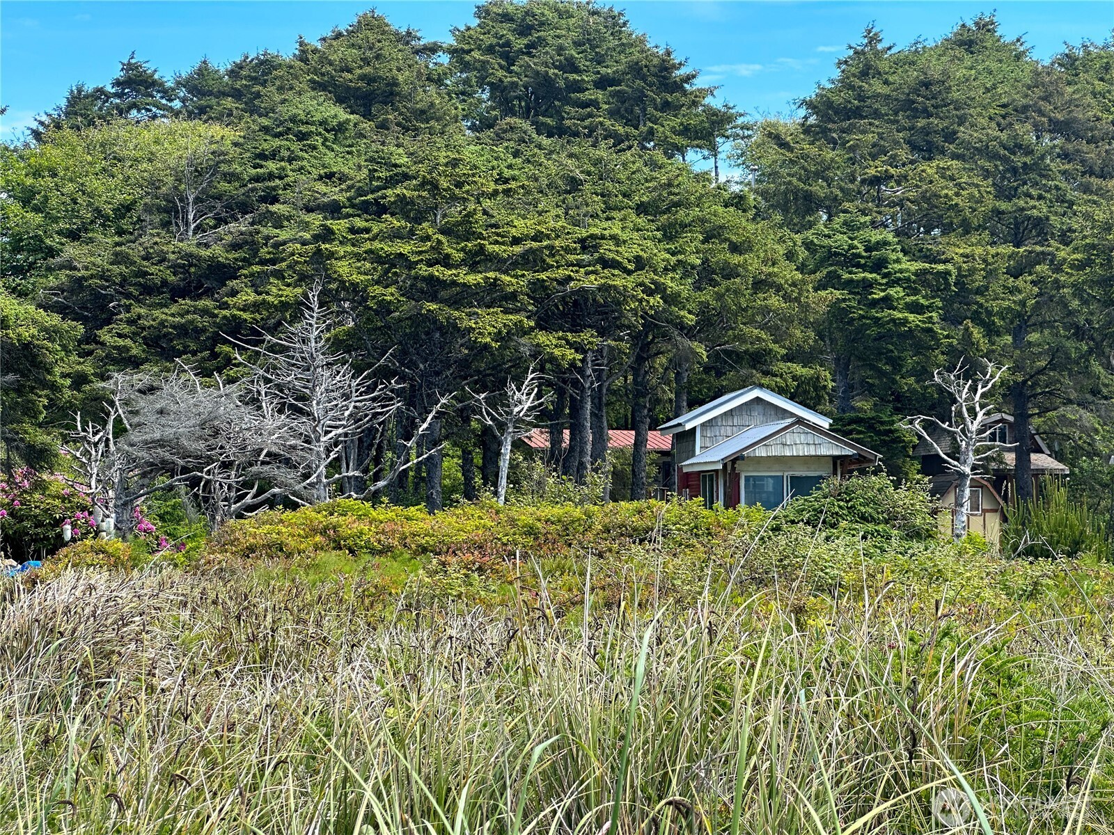 4753 Beach Lane , Moclips, WA 98562