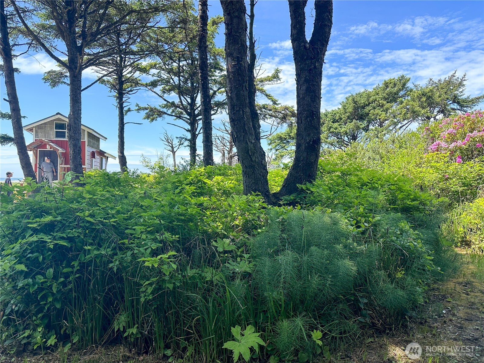 4753 Beach Lane , Moclips, WA 98562