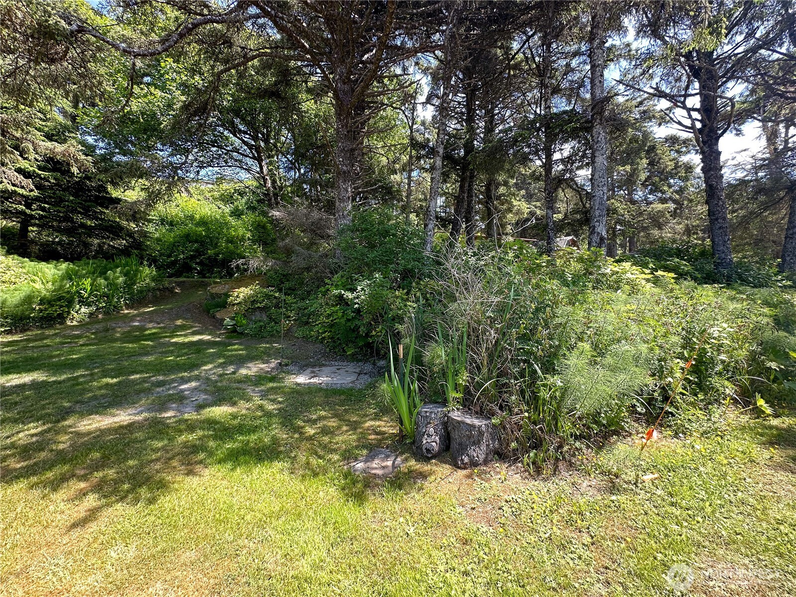 4753 Beach Lane , Moclips, WA 98562