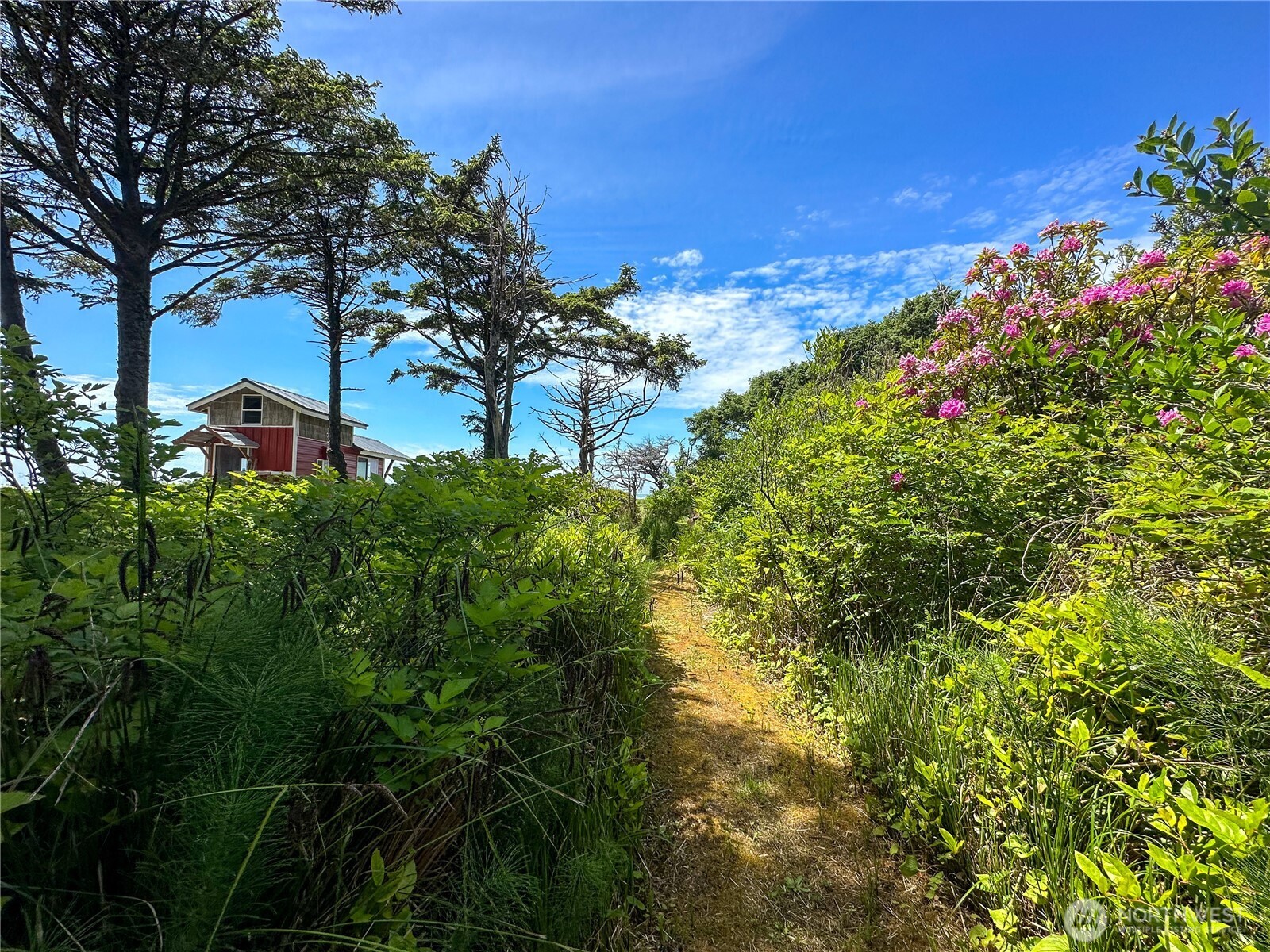 4753 Beach Lane , Moclips, WA 98562