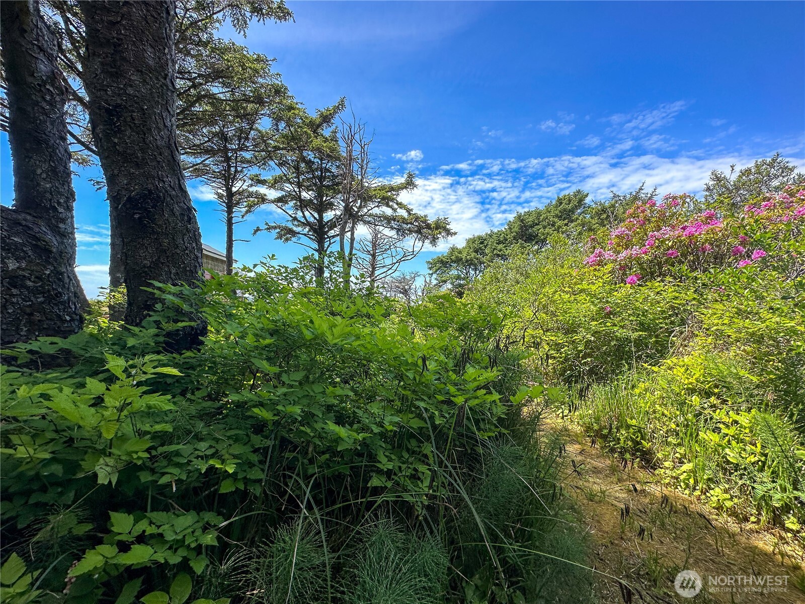 4753 Beach Lane , Moclips, WA 98562