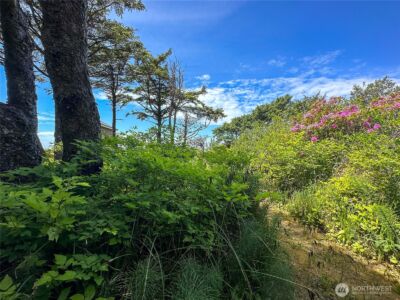 4753 Beach Lane , Moclips, WA 98562 - Photo 24