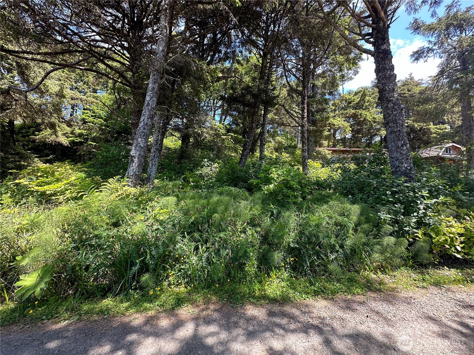 4753 Beach Lane , Moclips, WA 98562