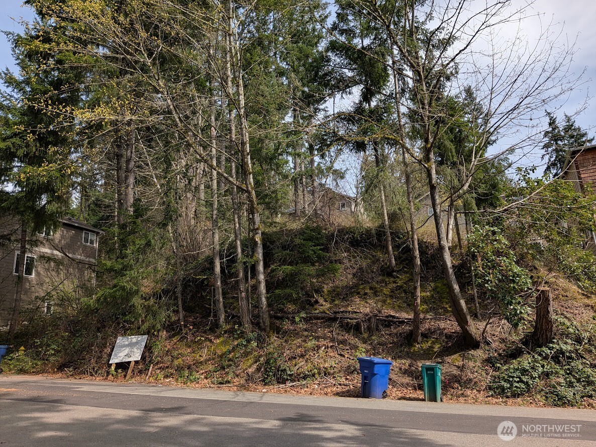 1324 211th Avenue NE, Sammamish, WA 98074