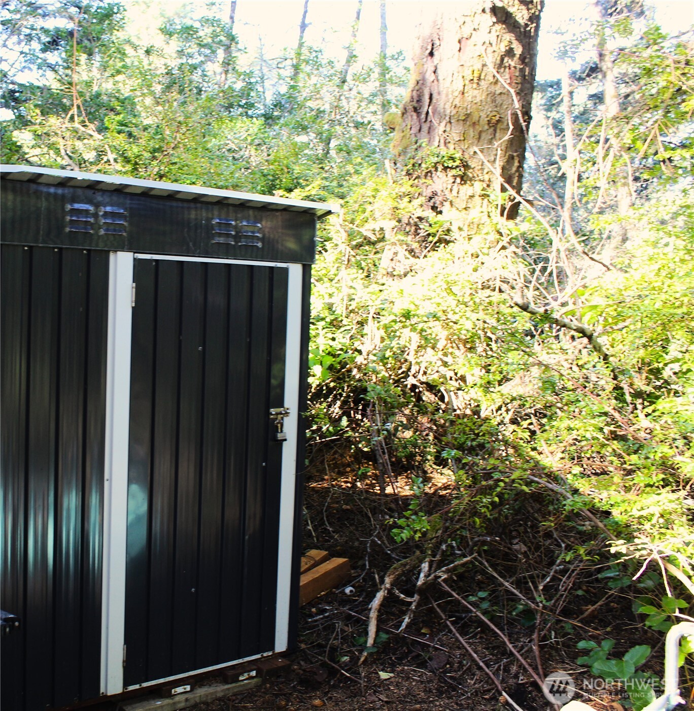 43 Dolphin Lane , Copalis Beach, WA 98535