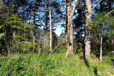 43 Dolphin Lane , Copalis Beach, WA 98535 - Photo 23