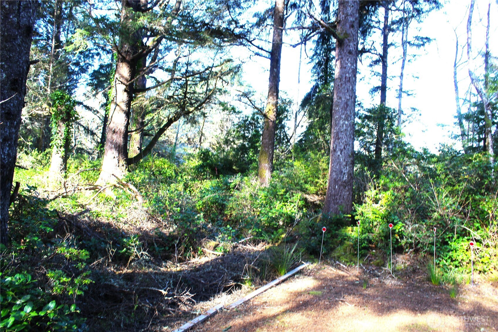 43 Dolphin Lane , Copalis Beach, WA 98535